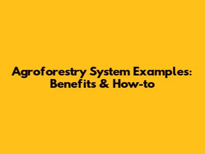 Agroforestry System Examples: Benefits & How-to