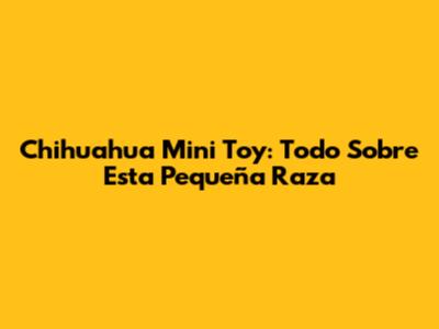 Chihuahua Mini Toy: Todo Sobre Esta Pequeña Raza