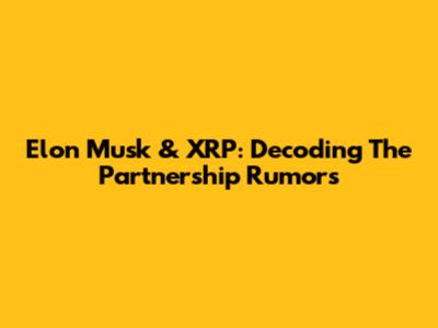 Elon Musk & XRP: Decoding The Partnership Rumors