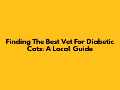 Finding The Best Vet For Diabetic Cats: A Local Guide