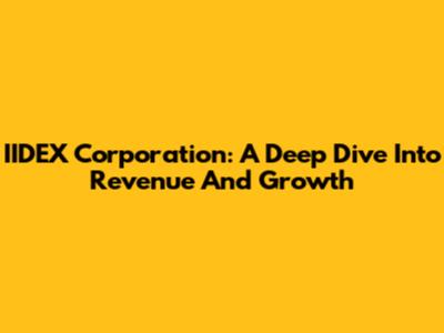 IIDEX Corporation: A Deep Dive Into Revenue And Growth