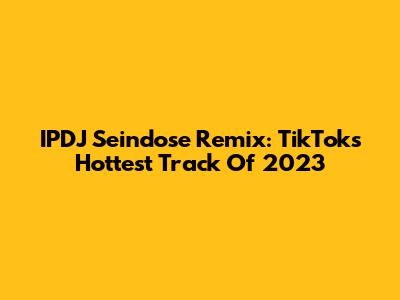 IPDJ Seindose Remix: TikTok's Hottest Track Of 2023
