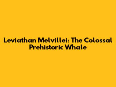 Leviathan Melvillei: The Colossal Prehistoric Whale