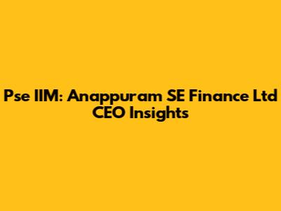 Pse IIM: Anappuram SE Finance Ltd CEO Insights