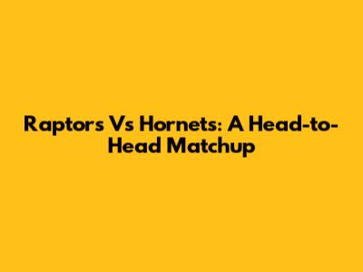 Raptors Vs Hornets: A Head-to-Head Matchup