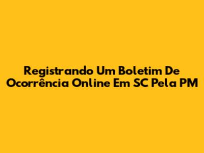 Registrando Um Boletim De Ocorrência Online Em SC Pela PM