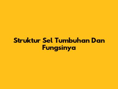 Struktur Sel Tumbuhan Dan Fungsinya