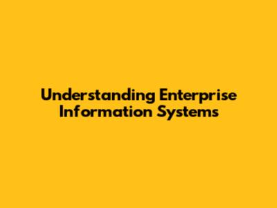 Understanding Enterprise Information Systems