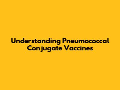 Understanding Pneumococcal Conjugate Vaccines