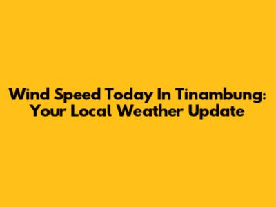 Wind Speed Today In Tinambung: Your Local Weather Update